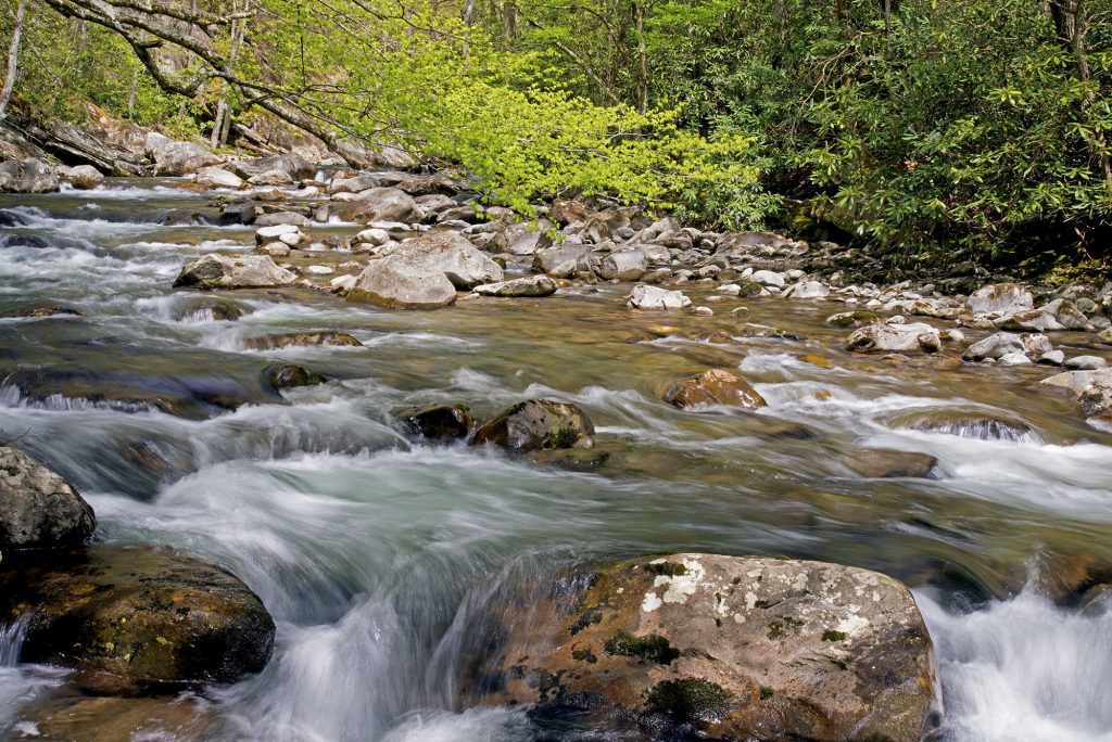 White water stream in spring in The Smokies. - Highland Technical Services